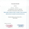 Powiększ obraz: certificate 3