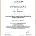 Powiększ obraz: certificate 4