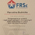 Powiększ obraz: certificate 3