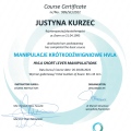Powiększ obraz: certificate 11