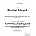 Powiększ obraz: certificate 7