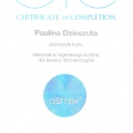 Powiększ obraz: certificate 8