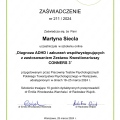 Powiększ obraz: certificate 2