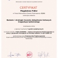 Powiększ obraz: certificate 19