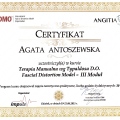 Powiększ obraz: certificate 12