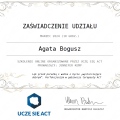 Powiększ obraz: certificate 14