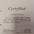Powiększ obraz: certificate 8