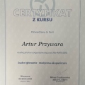 Powiększ obraz: certificate 3