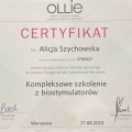 Powiększ obraz: certificate 10