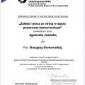 Powiększ obraz: certificate 2