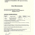 Powiększ obraz: certificate 3