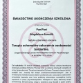 Powiększ obraz: certificate 7