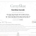 Powiększ obraz: certificate 5