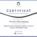 Powiększ obraz: certificate 8