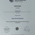 Powiększ obraz: certificate 3