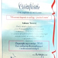 Powiększ obraz: certificate 1