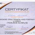 Powiększ obraz: certificate 8