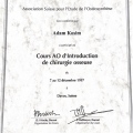 Powiększ obraz: certificate 36