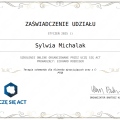Powiększ obraz: certificate 7