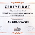 Powiększ obraz: certificate 11