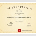 Powiększ obraz: certificate 4