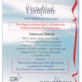 Powiększ obraz: certificate 11