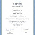 Powiększ obraz: certificate 2