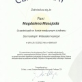 Powiększ obraz: certificate 1