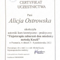 Powiększ obraz: certificate 2