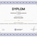Powiększ obraz: certificate 4