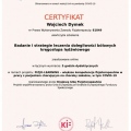Powiększ obraz: certificate 9