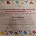 Powiększ obraz: certificate 7