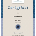 Powiększ obraz: certificate 1