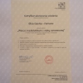 Powiększ obraz: certificate 4