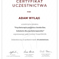 Powiększ obraz: certificate 3