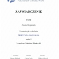 Powiększ obraz: certificate 8