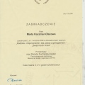 Powiększ obraz: certificate 3