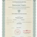 Powiększ obraz: certificate 5