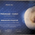 Powiększ obraz: certificate 2