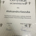 Powiększ obraz: certificate 7
