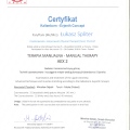 Powiększ obraz: certificate 13