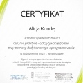 Powiększ obraz: certificate 8