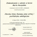 Powiększ obraz: certificate 33