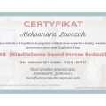 Powiększ obraz: certificate 6