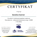 Powiększ obraz: certificate 2