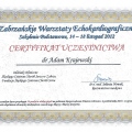 Powiększ obraz: certificate 3