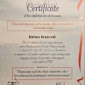 Powiększ obraz: certificate 18