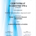 Powiększ obraz: certificate 45