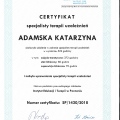 Powiększ obraz: certificate 1