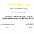 Powiększ obraz: certificate 3